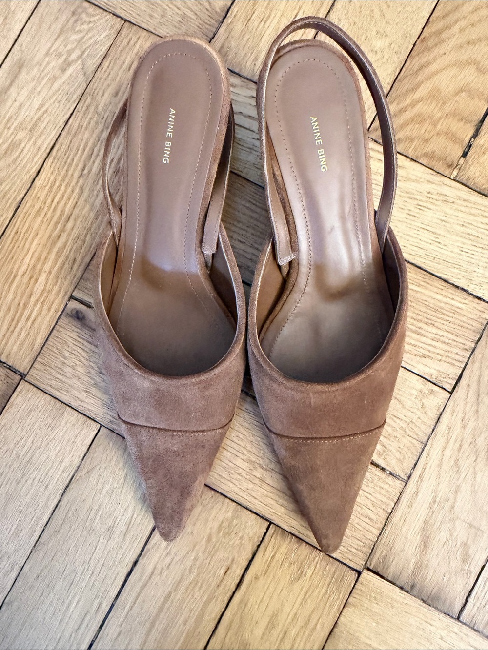 Anine Bing Brown Suede Pointed Slingback Mules